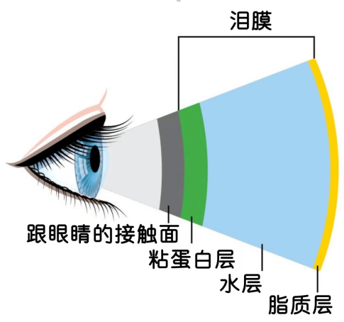【待发布】新闻7-干眼症就是眼睛干?小心,你进入误区了!536